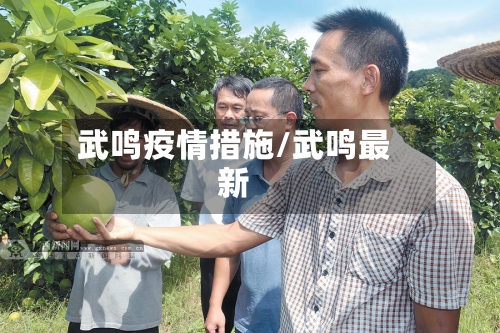 武鸣疫情措施/武鸣最新