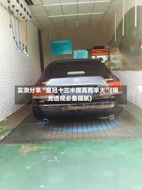 实测分享“皇冠十三水提高胜率大”(曝光透视必备猫腻)-第2张图片