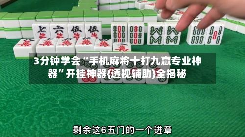 3分钟学会“手机麻将十打九赢专业神器”开挂神器{透视辅助}全揭秘-第3张图片