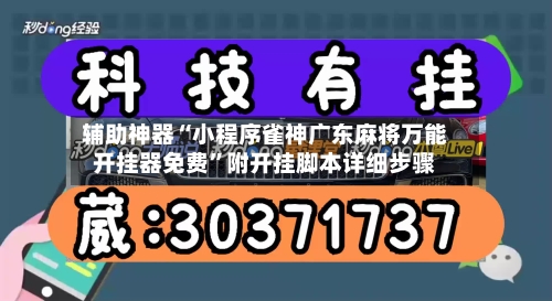 辅助神器“小程序雀神广东麻将万能开挂器免费”附开挂脚本详细步骤-第3张图片