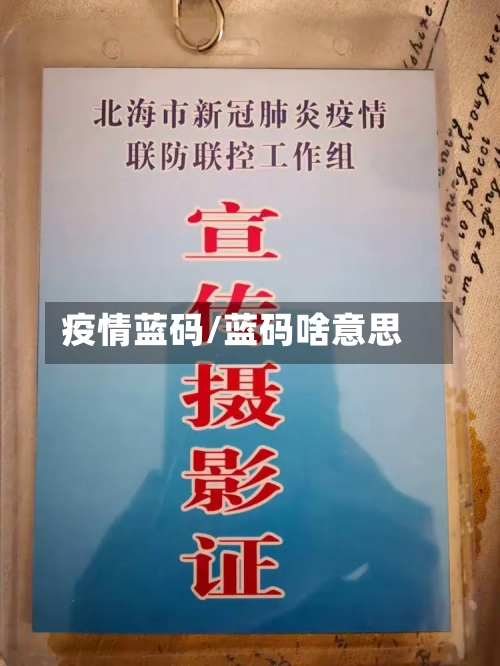 疫情蓝码/蓝码啥意思-第2张图片