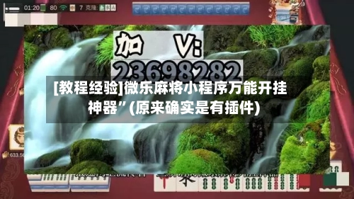 [教程经验]微乐麻将小程序万能开挂神器	”(原来确实是有插件)-第2张图片