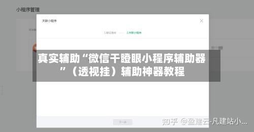 真实辅助“微信干瞪眼小程序辅助器”（透视挂）辅助神器教程-第2张图片