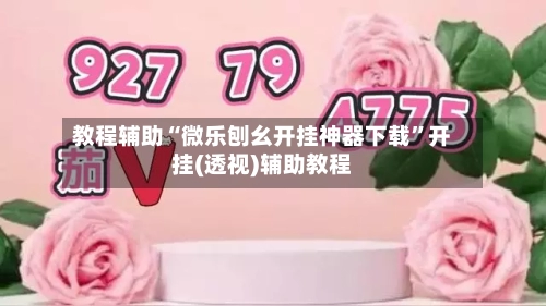 教程辅助“微乐刨幺开挂神器下载”开挂(透视)辅助教程