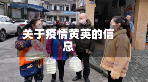 关于疫情黄英的信息-第2张图片