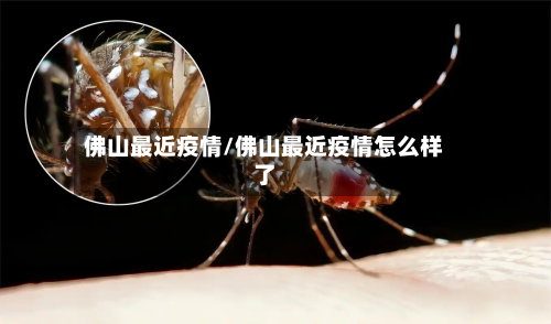 佛山最近疫情/佛山最近疫情怎么样了