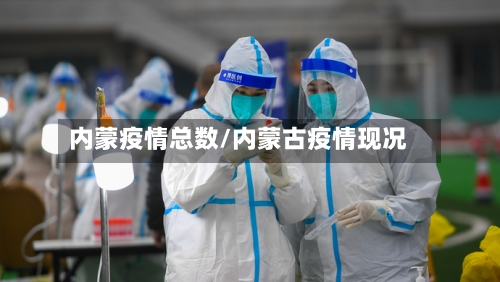 内蒙疫情总数/内蒙古疫情现况-第3张图片