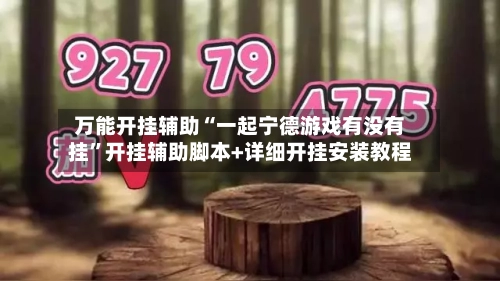 万能开挂辅助“一起宁德游戏有没有挂”开挂辅助脚本+详细开挂安装教程-第2张图片