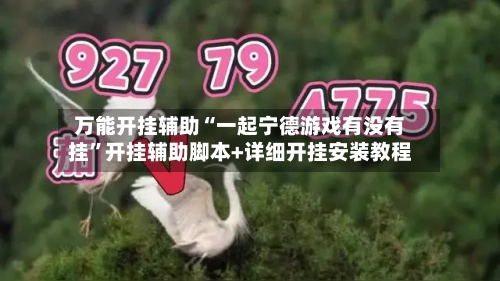 万能开挂辅助“一起宁德游戏有没有挂”开挂辅助脚本+详细开挂安装教程-第3张图片