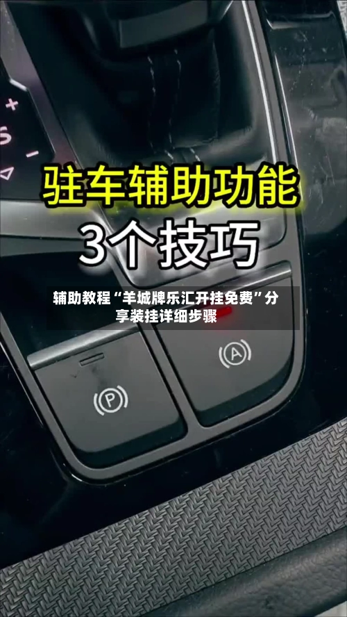 辅助教程“羊城牌乐汇开挂免费”分享装挂详细步骤-第3张图片