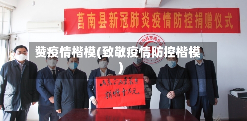 赞疫情楷模(致敬疫情防控楷模)-第3张图片