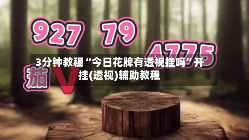 3分钟教程“今日花牌有透视挂吗”开挂(透视)辅助教程-第1张图片