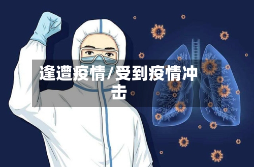 逢遭疫情/受到疫情冲击-第1张图片