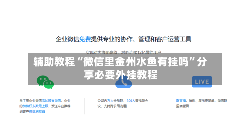 辅助教程“微信里金州水鱼有挂吗	”分享必要外挂教程-第2张图片