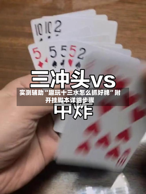 实测辅助“趣玩十三水怎么抓好牌”附开挂脚本详细步骤