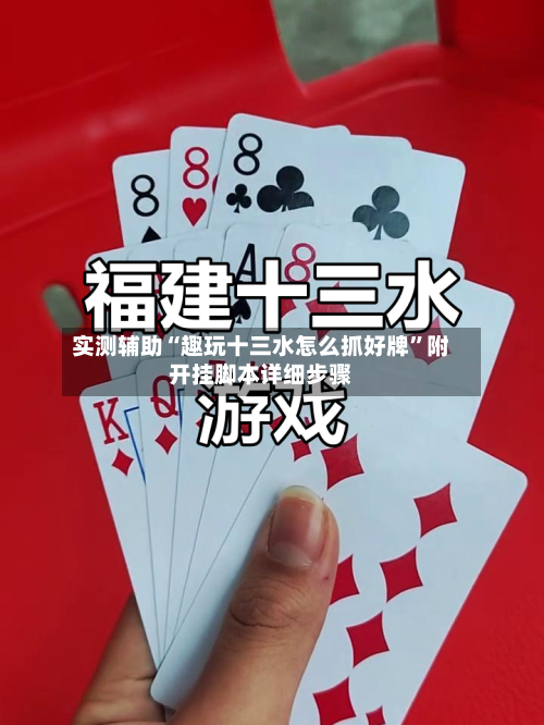 实测辅助“趣玩十三水怎么抓好牌	”附开挂脚本详细步骤-第3张图片