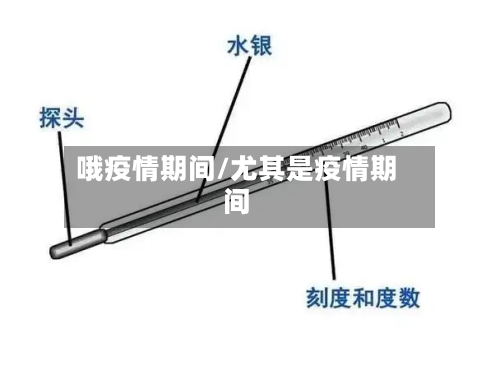 哦疫情期间/尤其是疫情期间