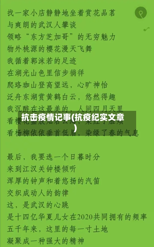抗击疫情记事(抗疫纪实文章)-第2张图片