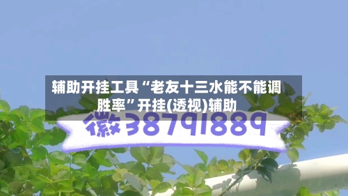 辅助开挂工具“老友十三水能不能调胜率”开挂(透视)辅助