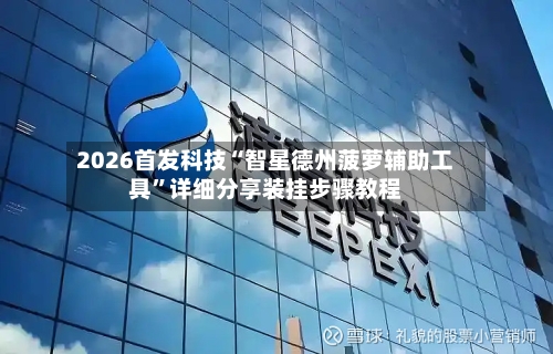 2026首发科技“智星德州菠萝辅助工具”详细分享装挂步骤教程-第2张图片