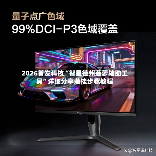 2026首发科技“智星德州菠萝辅助工具”详细分享装挂步骤教程-第3张图片