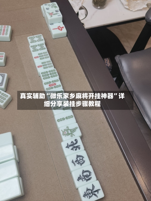 真实辅助“微乐家乡麻将开挂神器	”详细分享装挂步骤教程-第2张图片