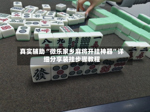 真实辅助“微乐家乡麻将开挂神器”详细分享装挂步骤教程-第3张图片