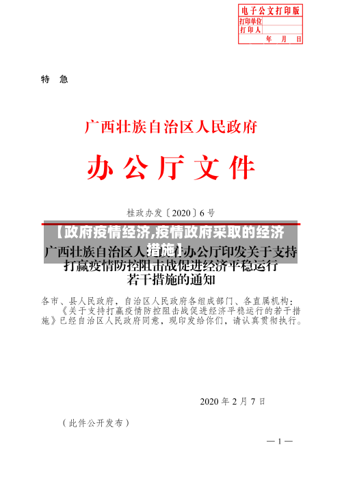 【政府疫情经济,疫情政府采取的经济措施】