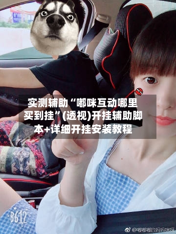 实测辅助“嘟咪互动哪里买到挂	”(透视)开挂辅助脚本+详细开挂安装教程-第2张图片