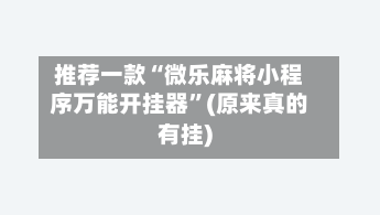 推荐一款“微乐麻将小程序万能开挂器”(原来真的有挂)-第2张图片
