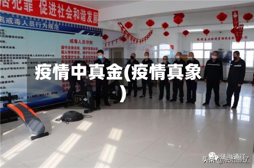 疫情中真金(疫情真象)