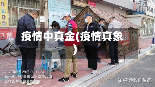 疫情中真金(疫情真象)-第3张图片