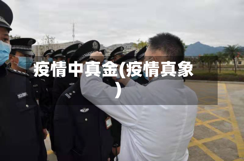 疫情中真金(疫情真象)-第2张图片