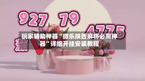 玩家辅助神器“微乐陕西麻将必赢神器	”详细开挂安装教程-第2张图片