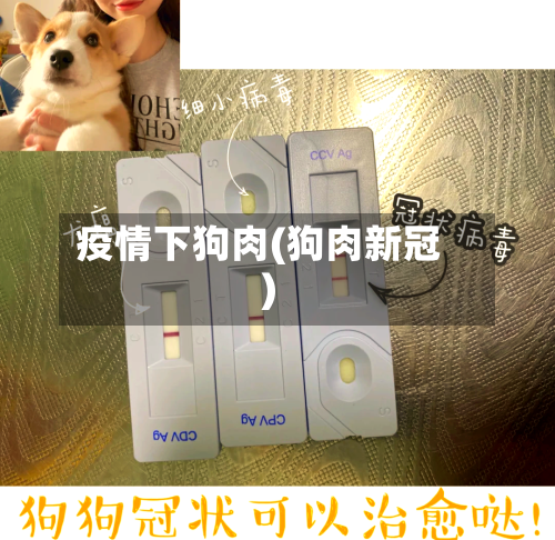 疫情下狗肉(狗肉新冠)-第2张图片