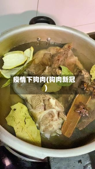 疫情下狗肉(狗肉新冠)-第1张图片