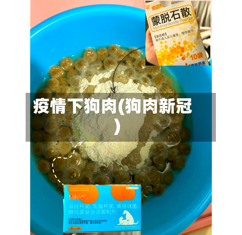 疫情下狗肉(狗肉新冠)-第3张图片