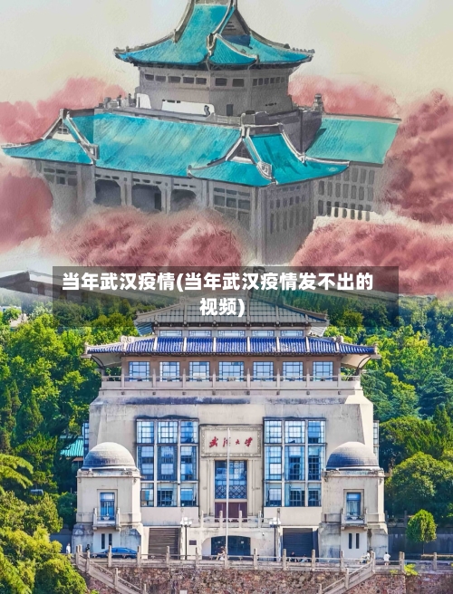 当年武汉疫情(当年武汉疫情发不出的视频)-第3张图片