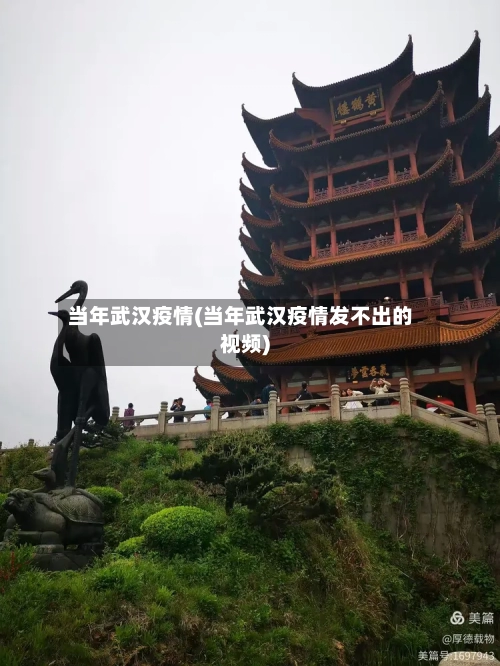 当年武汉疫情(当年武汉疫情发不出的视频)-第2张图片