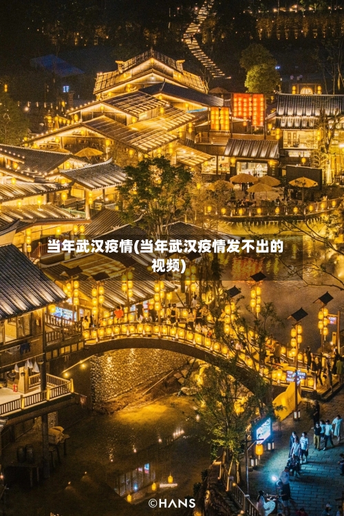 当年武汉疫情(当年武汉疫情发不出的视频)
