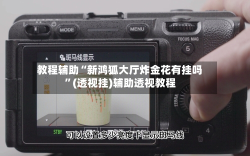 教程辅助“新鸿狐大厅炸金花有挂吗”(透视挂)辅助透视教程-第2张图片