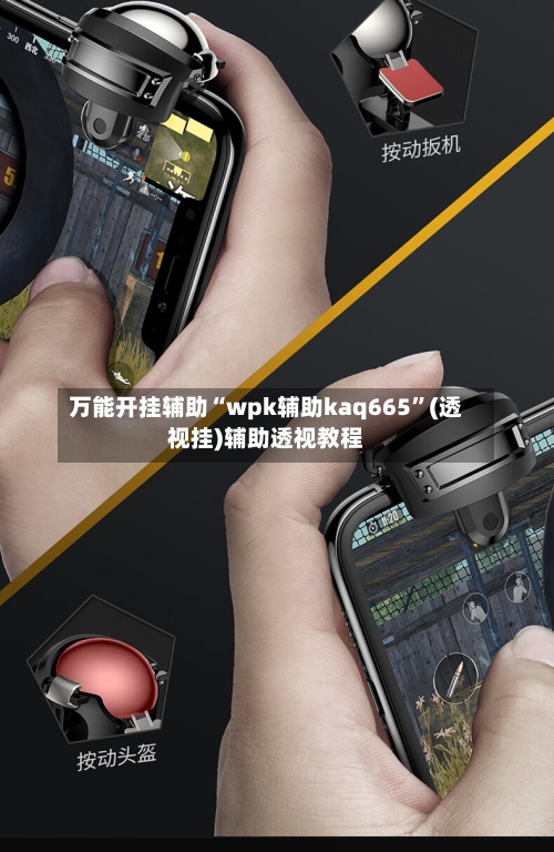 万能开挂辅助“wpk辅助kaq665”(透视挂)辅助透视教程-第1张图片