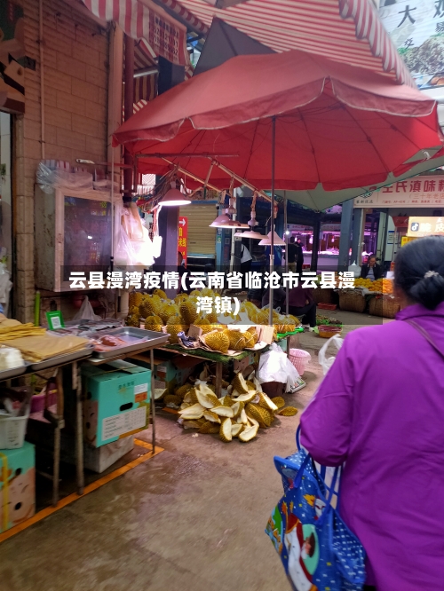 云县漫湾疫情(云南省临沧市云县漫湾镇)-第2张图片