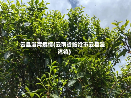 云县漫湾疫情(云南省临沧市云县漫湾镇)