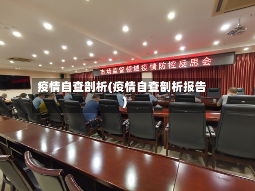 疫情自查剖析(疫情自查剖析报告)-第2张图片