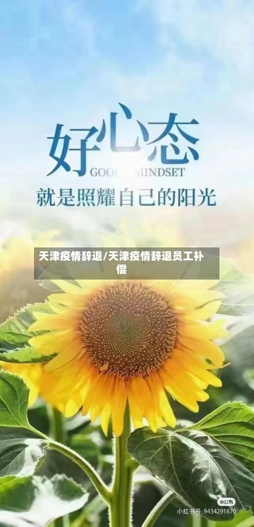 天津疫情辞退/天津疫情辞退员工补偿-第2张图片