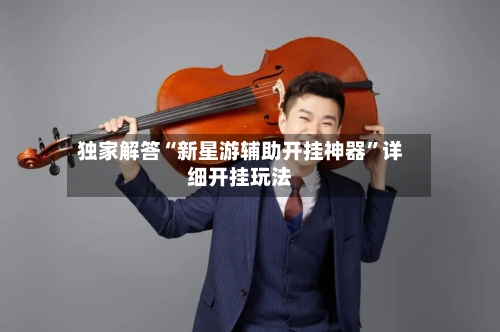 独家解答“新星游辅助开挂神器”详细开挂玩法-第3张图片