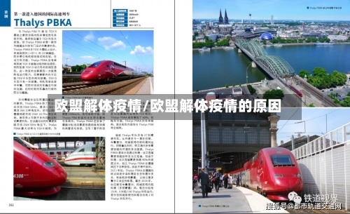 欧盟解体疫情/欧盟解体疫情的原因-第2张图片