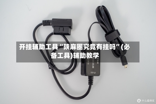 开挂辅助工具“陕麻圈究竟有挂吗	”(必备工具)辅助教学-第1张图片