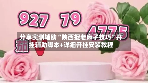 分享实测辅助“陕西捉老麻子技巧”开挂辅助脚本+详细开挂安装教程-第3张图片